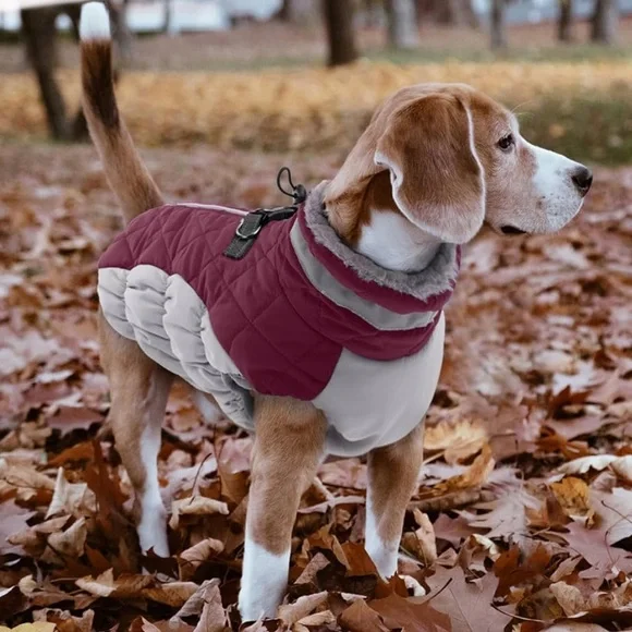 Warm Dog Winter Coat, size Medium, NWOT. - Picture 6 of 10